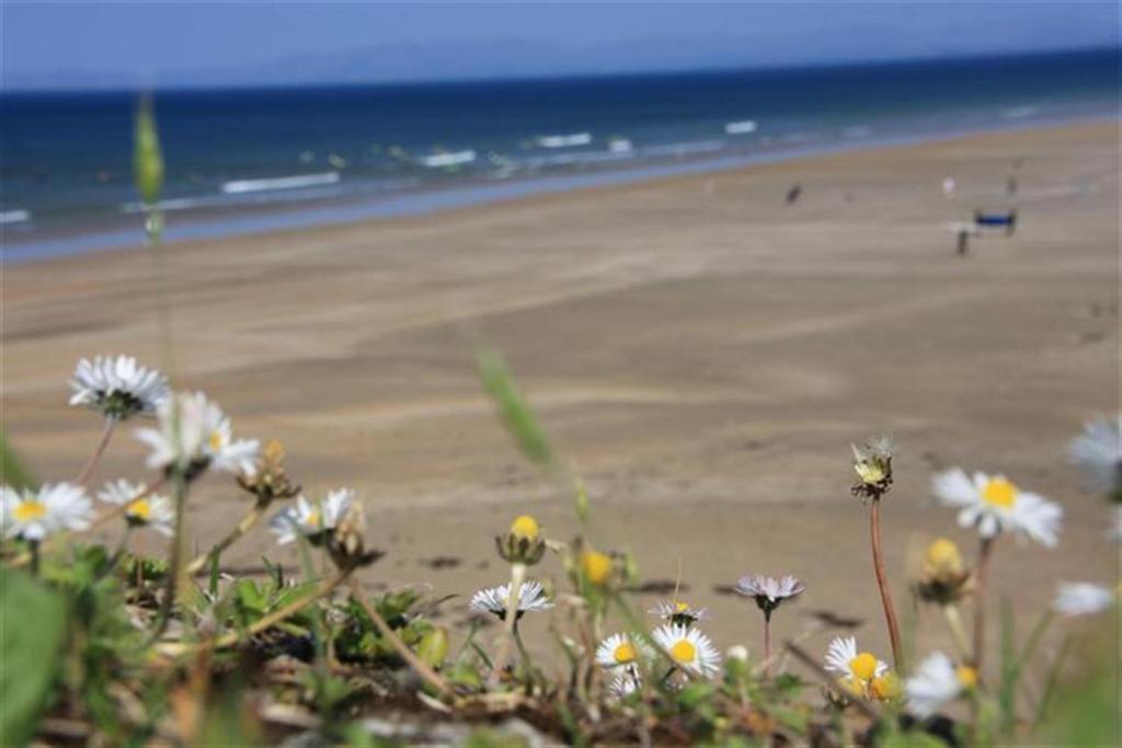 Rougey Lodge Hostel Bundoran Værelse billede